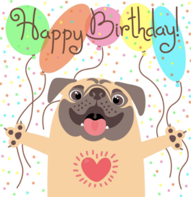 Pug birthday